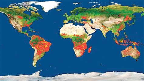 nasa yangın haritası dünya